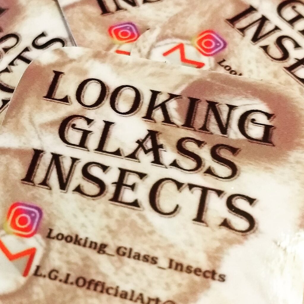 Looking Glass Insects